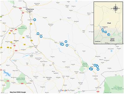 Molecular Confirmation of Ranavirus Infection in Amphibians From Chad, Africa